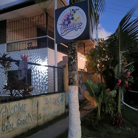 Cataleya Hostel Bocas Town Ngoại thất bức ảnh